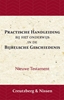 Afbeelding van Practische Handleiding bij het Onderwijs in de Bijbelsche Geschiedenis