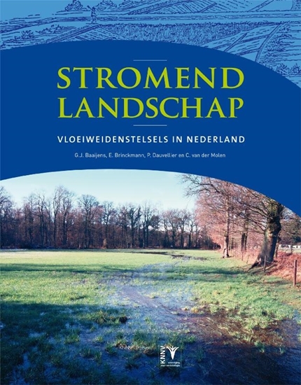 Afbeelding van Stromend landschap