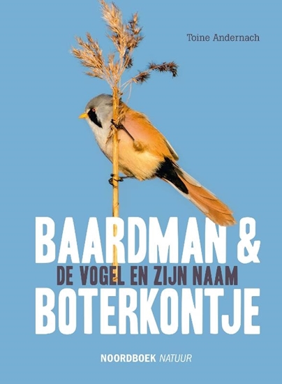 Afbeelding van Baardman en boterkontje