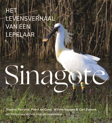 Afbeeldingen van Sinagote