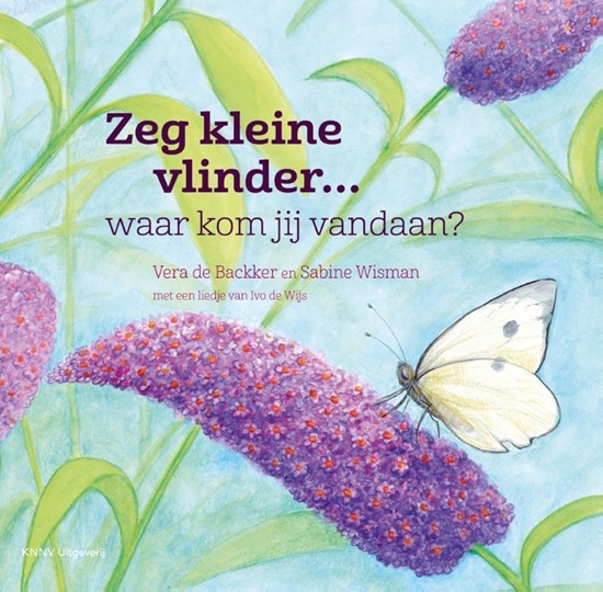Afbeelding van Zeg Kleine Zeg kleine vlinder