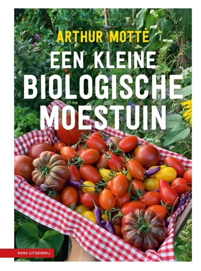 Afbeelding van Een kleine biologische moestuin