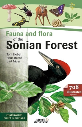 Afbeeldingen van Fauna and Flora of the Sonian forest