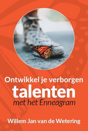 Afbeelding van Ontwikkel je verborgen talenten met het enneagram