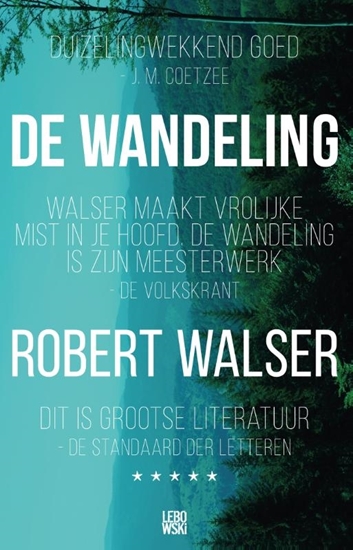 Afbeelding van De wandeling