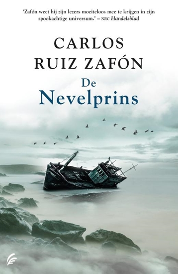 Afbeelding van De Nevelprins