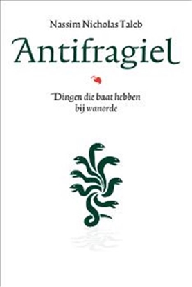 Afbeeldingen van Incerto Antifragiel