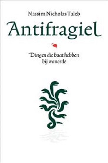 Afbeelding van Incerto Antifragiel