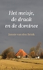 Afbeelding van Het meisje, de draak en de dominee
