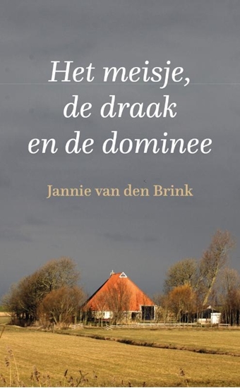 Afbeelding van Het meisje, de draak en de dominee