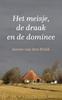 Afbeelding van Het meisje, de draak en de dominee