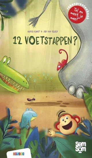 Afbeelding van Semsom boeken 12 voetstappen?