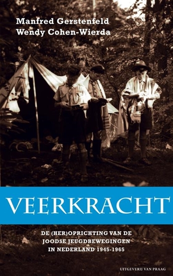 Afbeelding van Veerkracht