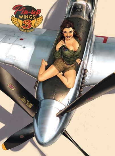 Afbeelding van Pin-Up Wings Pin-up Wings 3