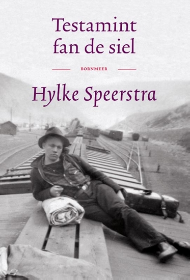 Afbeelding van Testamint fan de siel