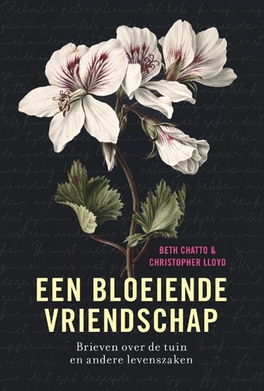 Afbeelding van Een bloeiende vriendschap