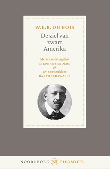 Afbeelding van De ziel van zwart Amerika