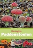 Afbeelding van Basisgids Basisgids Paddenstoelen