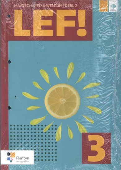 Afbeelding van LEF! 3 - Sociologie en pedagogie