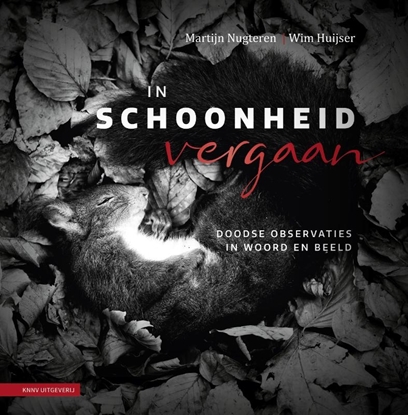 Afbeeldingen van In schoonheid vergaan