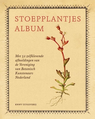 Afbeeldingen van Stoepplantjesalbum