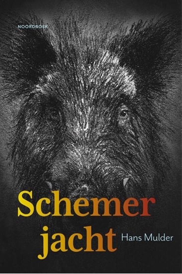 Afbeelding van Schemerjacht