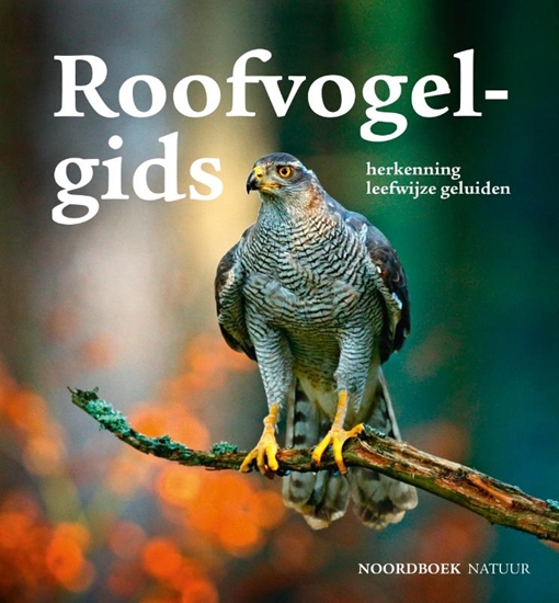 Afbeelding van Roofvogelgids