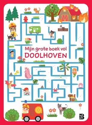 Afbeeldingen van Mijn grote boek vol doolhoven