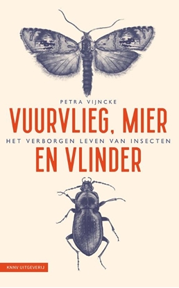 Afbeeldingen van Vuurvlieg, mier en vlinder