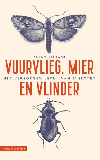 Afbeelding van Vuurvlieg, mier en vlinder