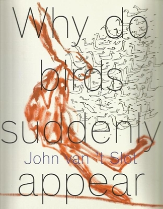 Afbeeldingen van John van 't Slot - Why do birds suddenly appear?