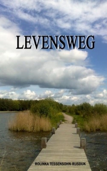 Afbeelding van Levensweg