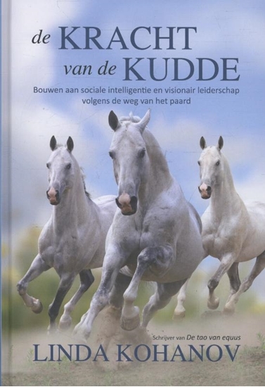 Afbeelding van De kracht van de kudde
