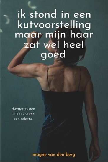 Afbeelding van ik stond in een kutvoorstelling maar mijn haar zat wel heel goed