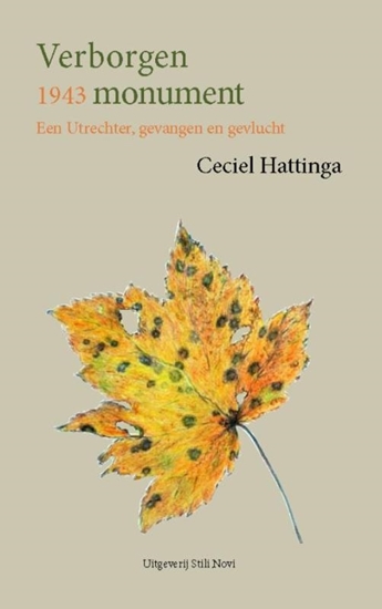 Afbeelding van Verborgen monument