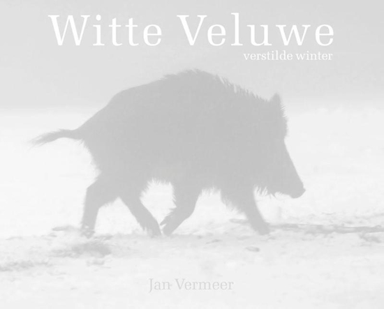 Afbeelding van Witte Veluwe