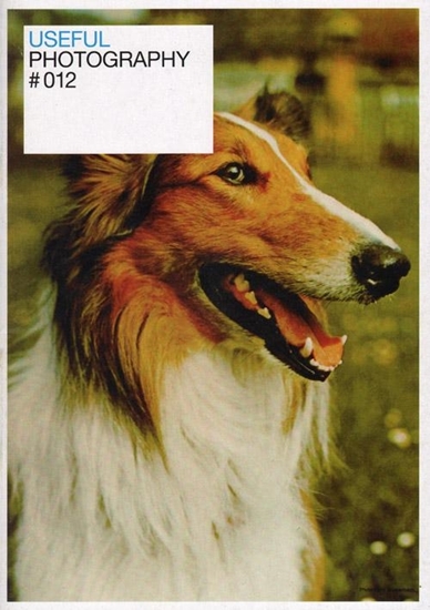Afbeelding van Useful photography 12