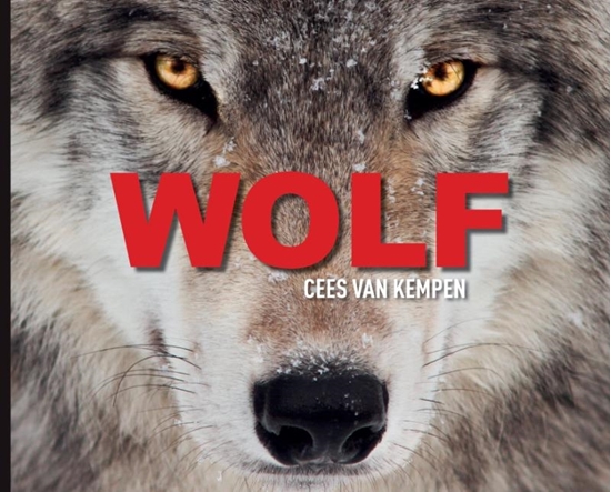 Afbeelding van Wolf