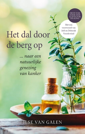 Afbeelding van Het dal door de berg op