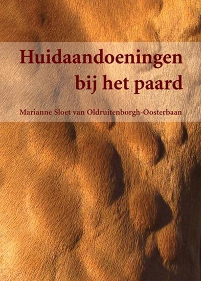 Afbeelding van Huidaandoeningen bij het paard