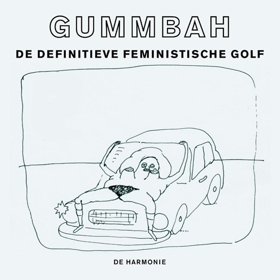 Afbeelding van De definitieve feministische golf