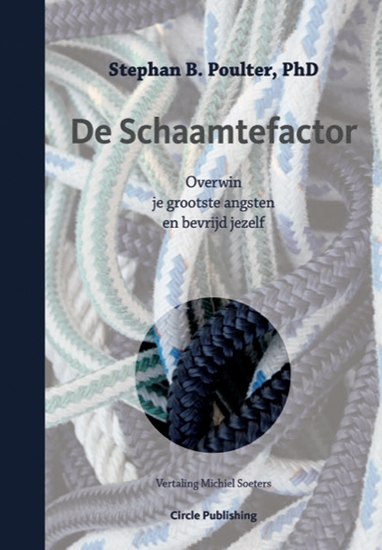Afbeelding van De Schaamtefactor