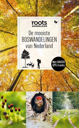 Afbeeldingen van Roots wandelgids De mooiste boswandelingen van Nederland