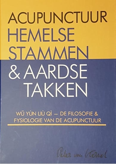 Afbeelding van Acupunctuur hemelse stammen & aardse takken