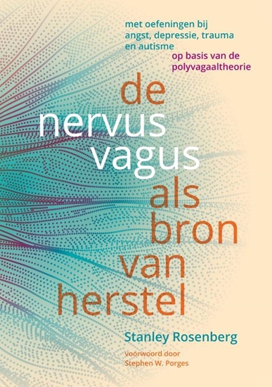 Afbeelding van De nervus vagus als bron van herstel