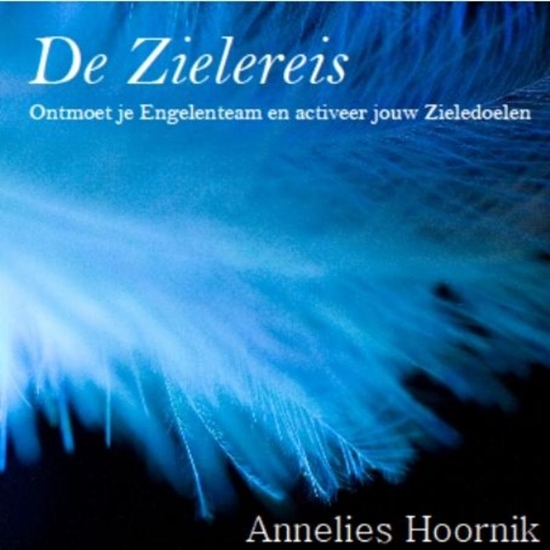 Afbeelding van De Zielereis
