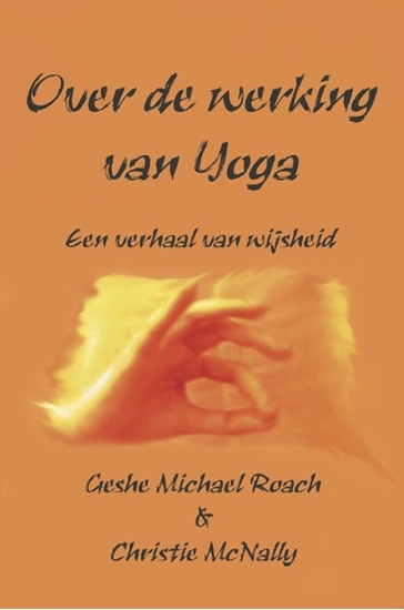Afbeelding van Over de werking van Yoga