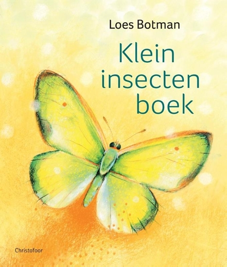 Afbeelding van Klein insectenboek