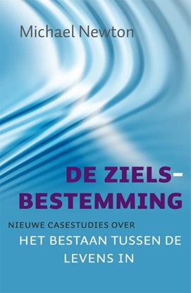 Afbeeldingen van De zielsbestemming