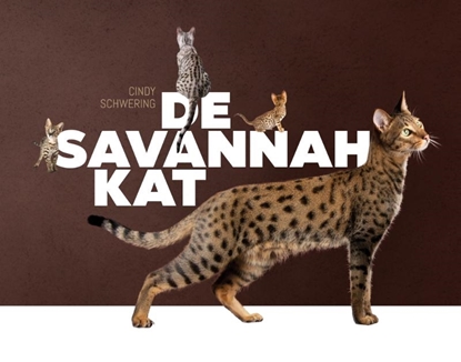 Afbeeldingen van De Savannah kat